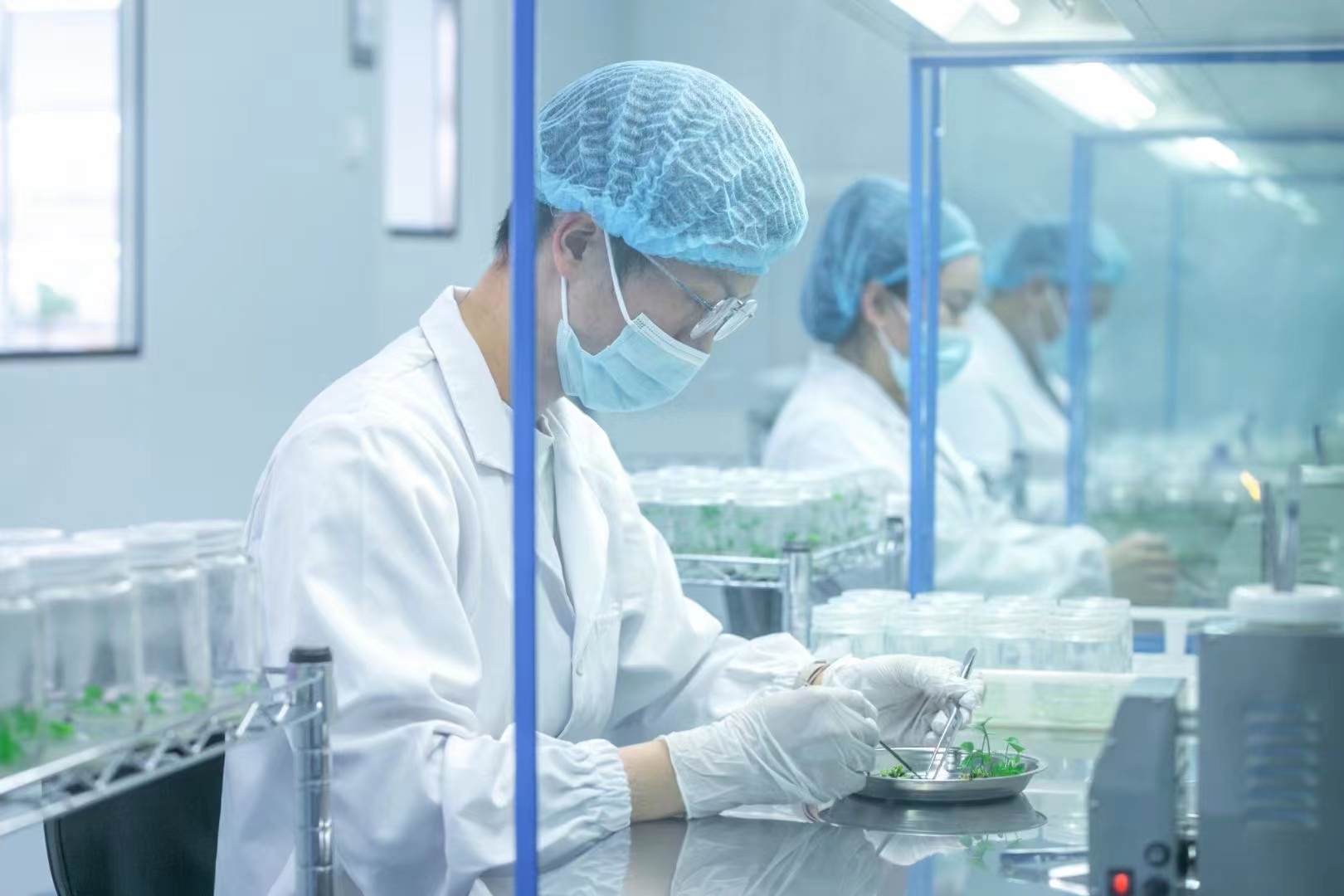 滅菌器  組培滅菌鍋  高壓滅菌設(shè)備